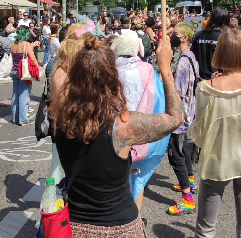 Die TransPride – eine Demonstration
